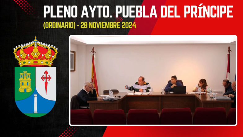 Pleno Ordinario, 28 noviembre 2024
